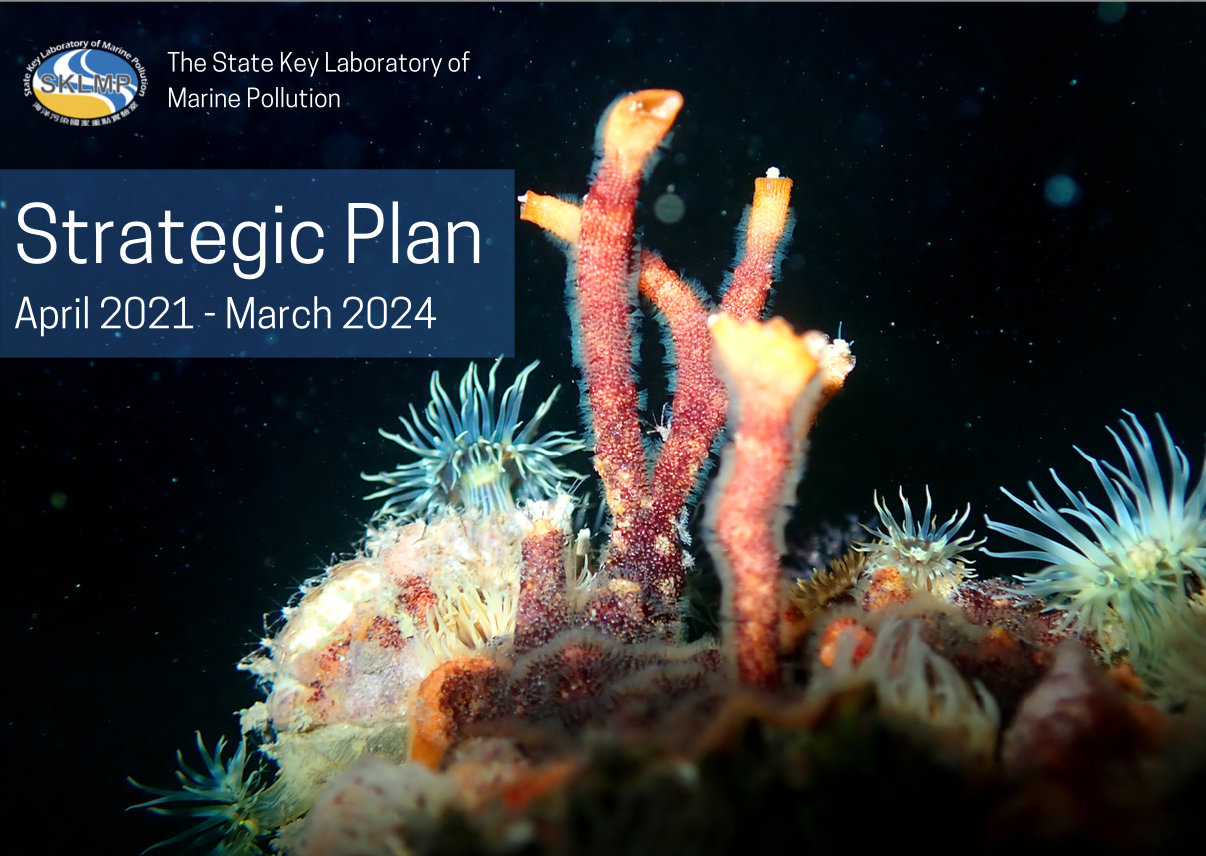 sklmpstrategicplanthumbnail