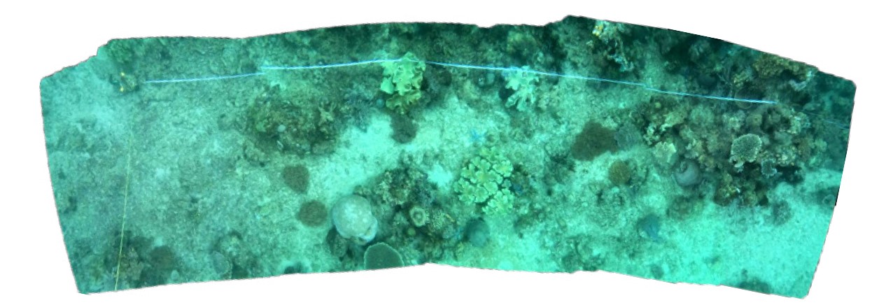 PulisanBay3