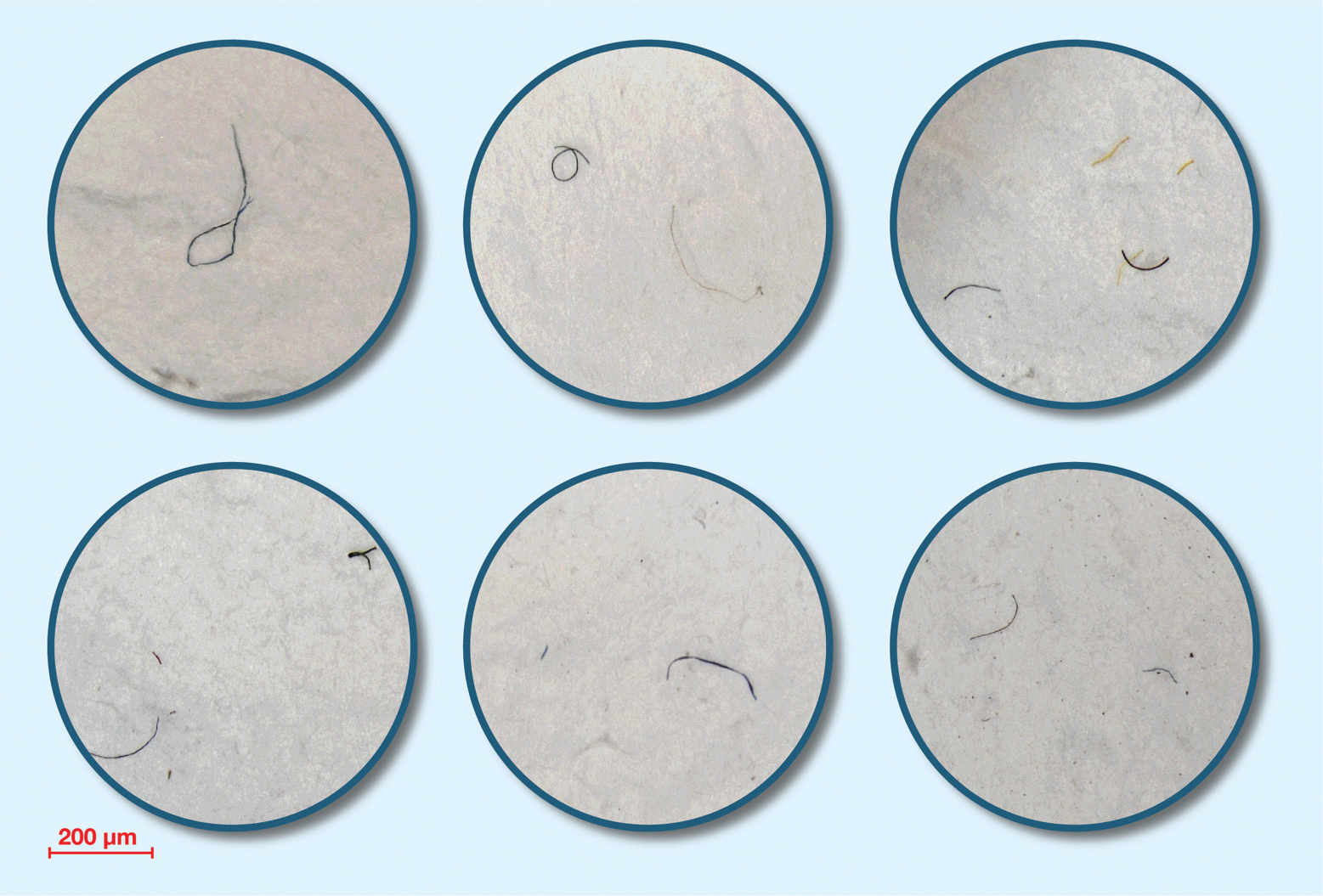 6_Example_microfibers-c copy
