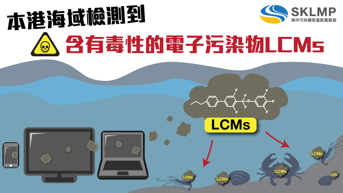 LCMs Research-chi