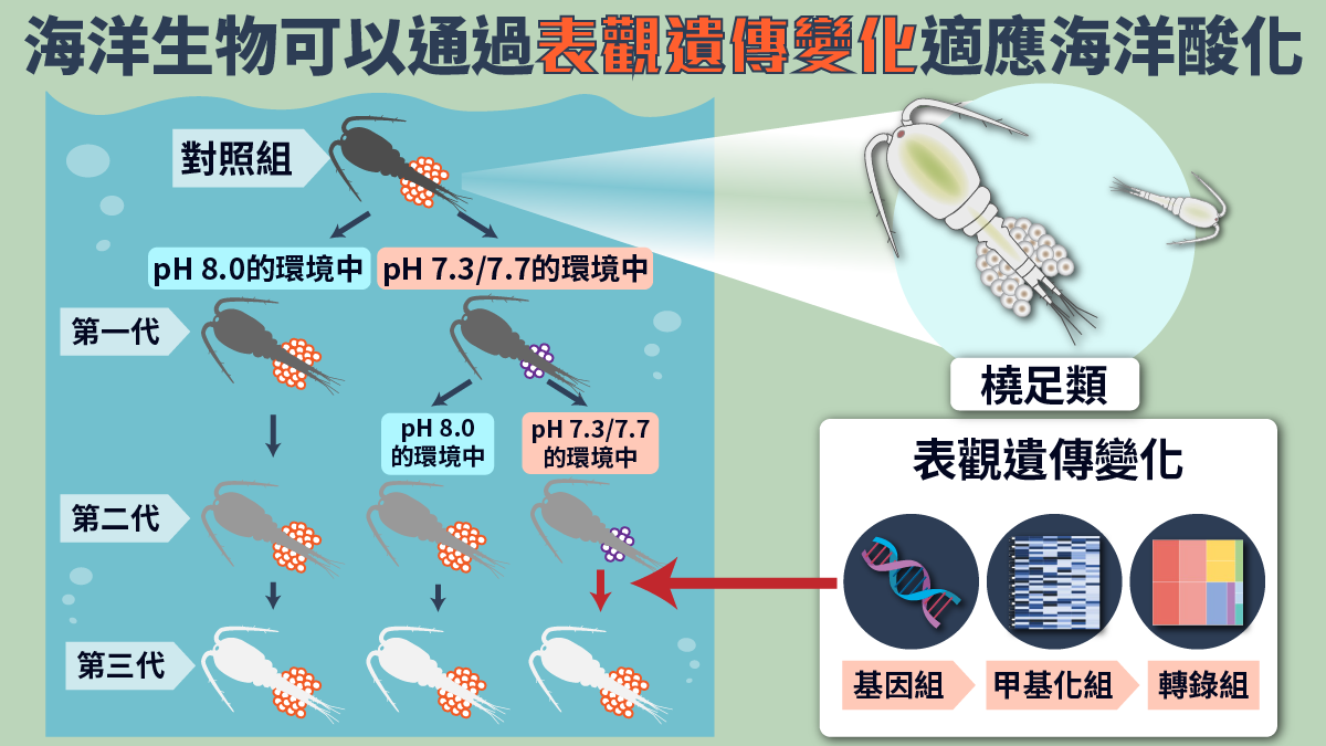 Prof Wus research - web-01