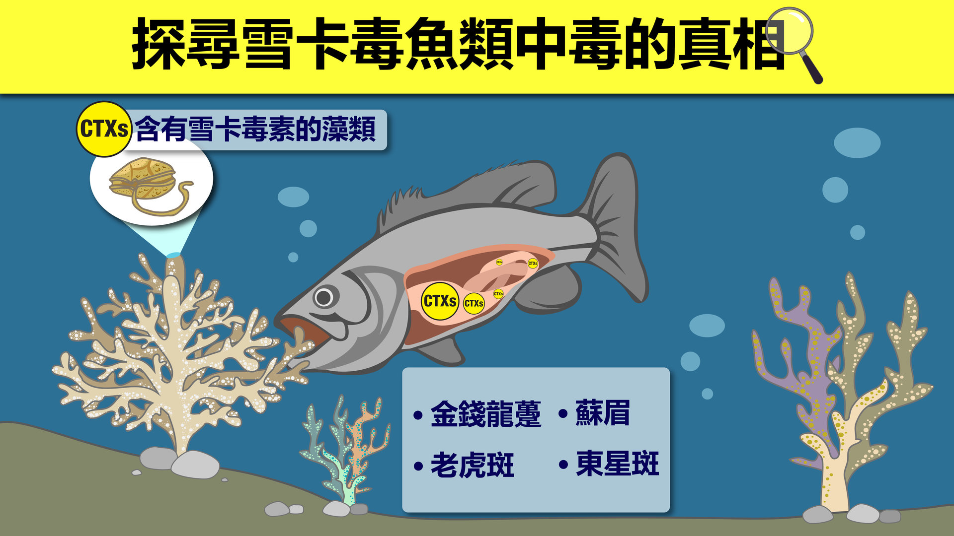 Dr Chans research-Chi - Website-01