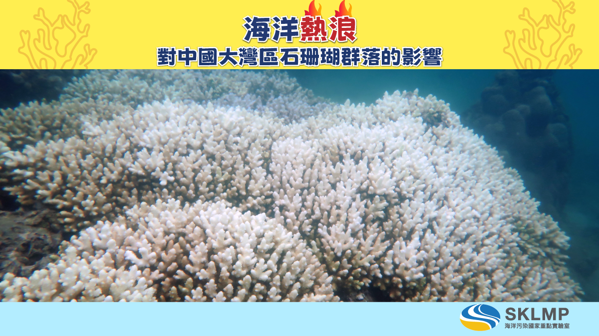 CoralBleachingResearch-v11 - Chi -  web-01
