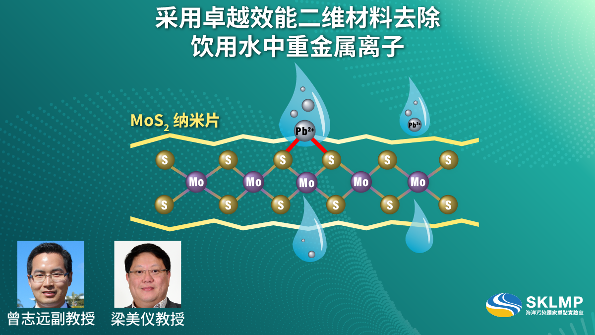 WS2MonoOrBilayersWebEng