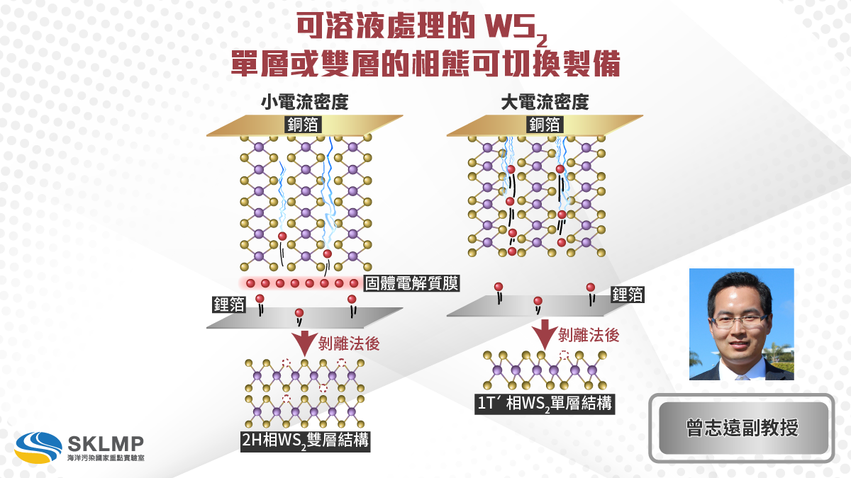 WS2MonoOrBilayersWebEng