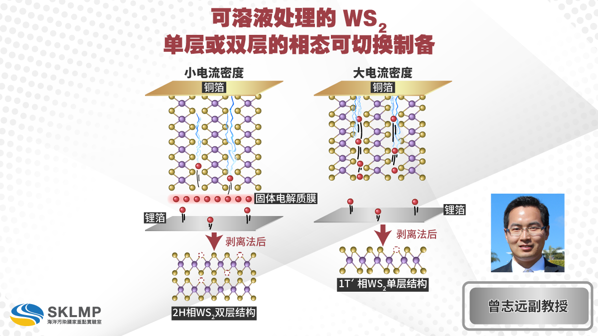 WS2MonoOrBilayersWebEng