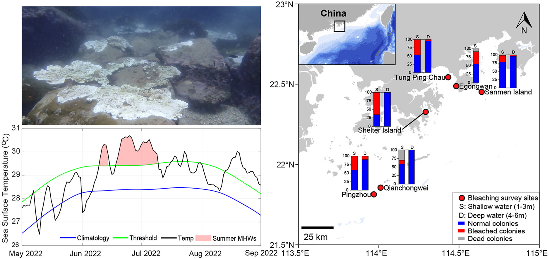 1s20S0141113623001721ga1lrg