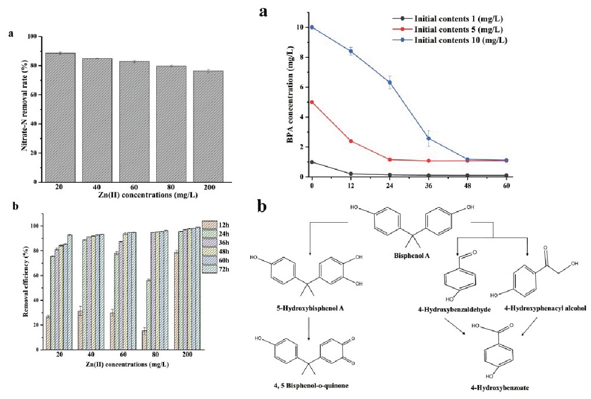 Application of aerobic denitrifier for simultaneous removal of nitrogen zinc and bisphenol A from wa