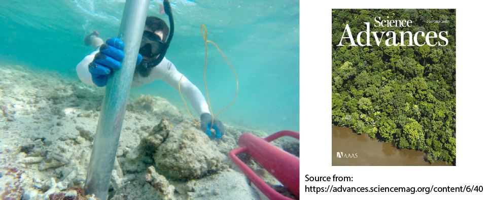 Coral reef diversity losses in Chinas Greater Bay Area1-01