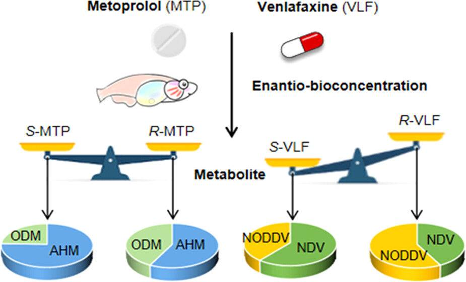 imageslargees2c083790005