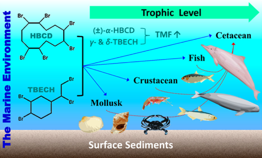 Environmental occurrence transport fate spatiotemporal trend