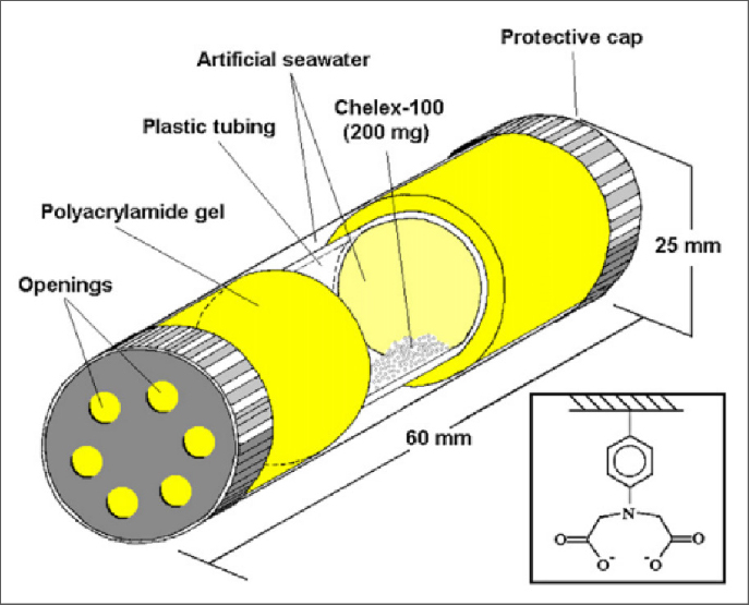 Assessment of the coral health of Platygyra carnosa through in-situ and ex-situ measurements of metabolic rates