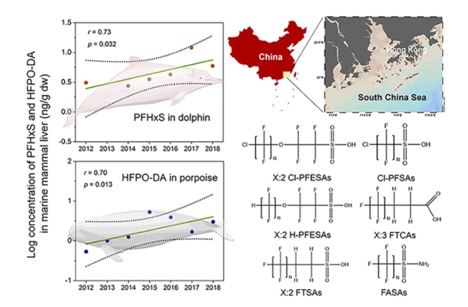 Managing risks of per- and polyfluoroalkyl substances