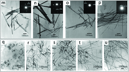 MnO2-Based Materials-cmyk-3test