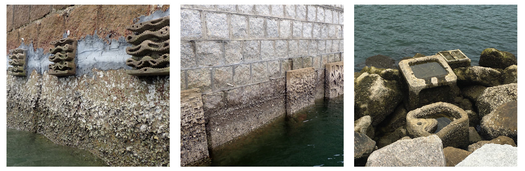Provision of refugia and seeding with native bivalves