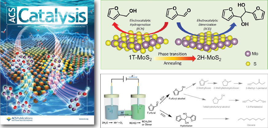 R-Theme 1_The Structural Phase Effect of MoS2-2-c2-01