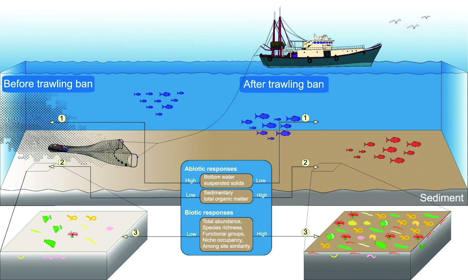 Recovery of tropical marine benthos-cmyk