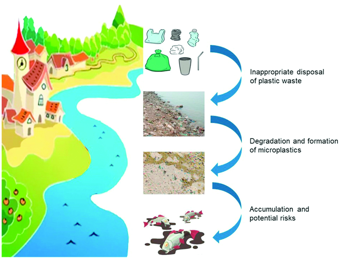 Understanding plastic degradation-cmyk