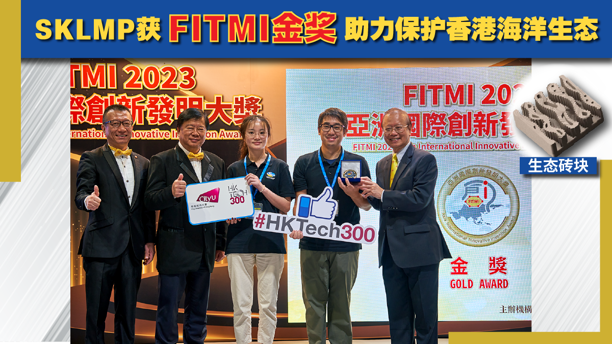 FITMI2023-v1 - Simp.Chi