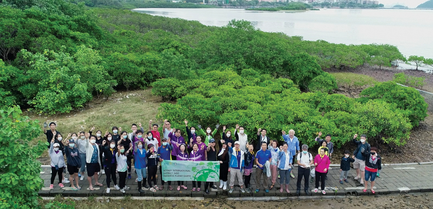 Mangrove plantation and ecological tour-1