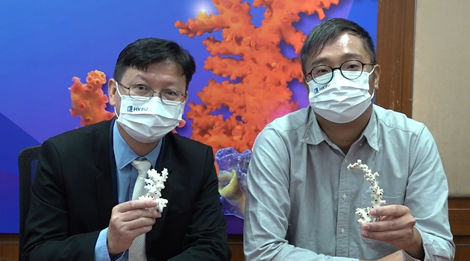 香港01：浸大於香港水域發現三個新珊瑚物種綠壁筒星珊瑚更料香港獨有