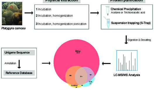 Characterizing the Host Coral Proteome-cmyk