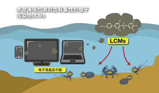 本港海域检测到含有毒性的电子污染物LCMs
