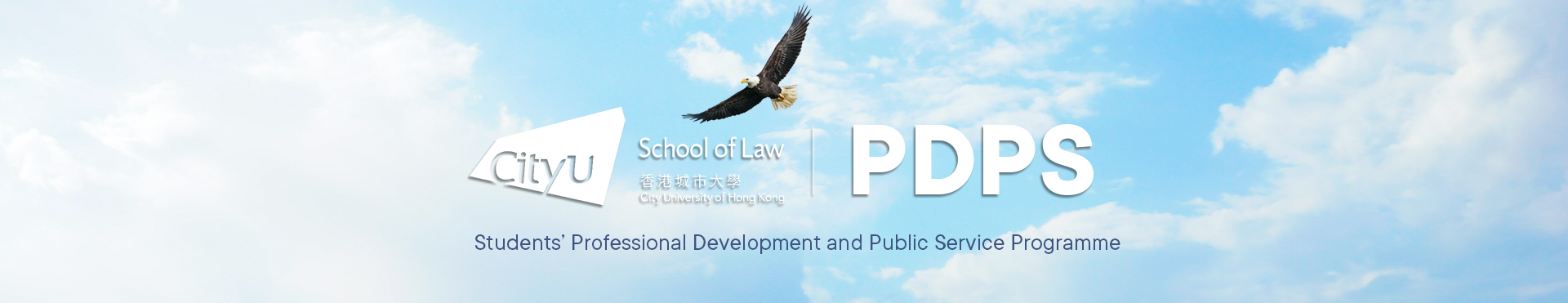 Career Development / Public Service