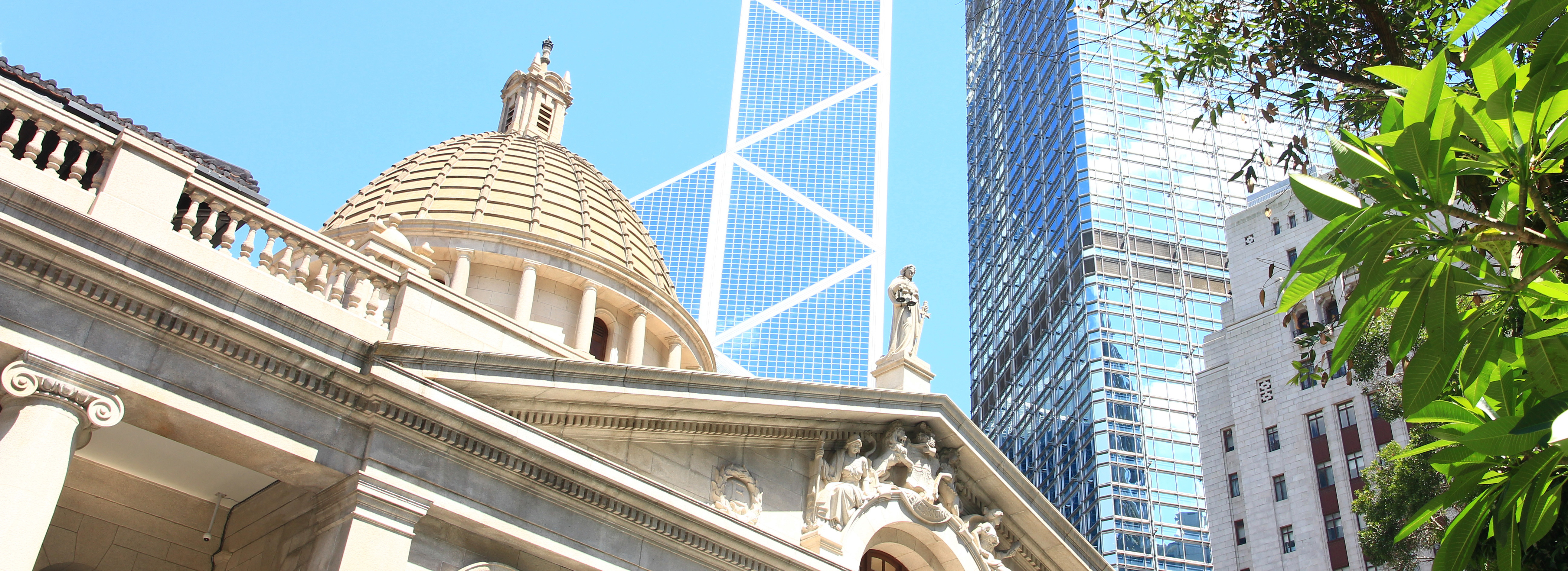 School of Law Summer Programme