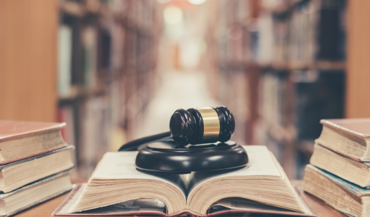 City University of Hong Kong School of Law Congratulates Professor Lauren Yu-Hsin Lin on Editorial Board Appointment