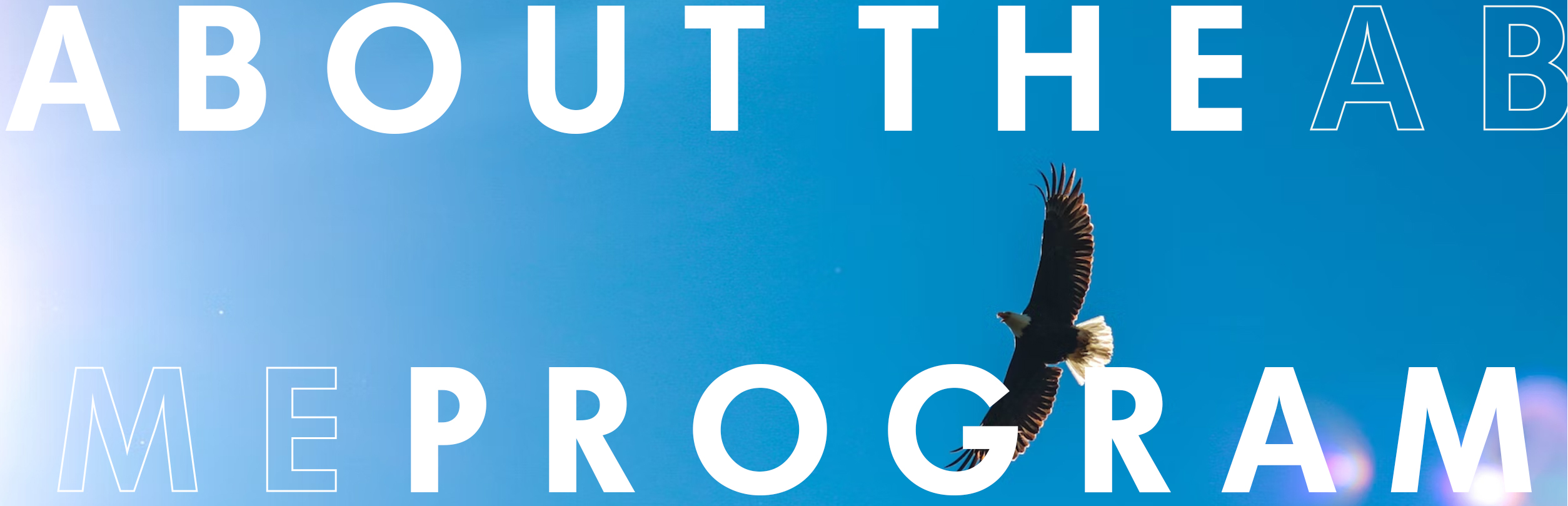 CityU Law, Student Career Development, PDPS