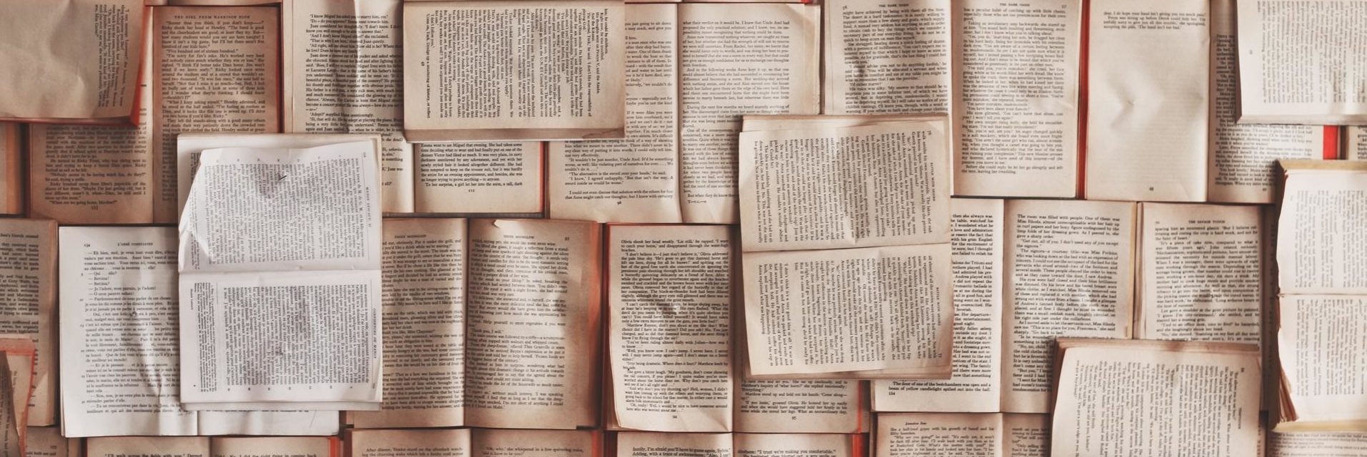 kisscc0-literature-translation(1)