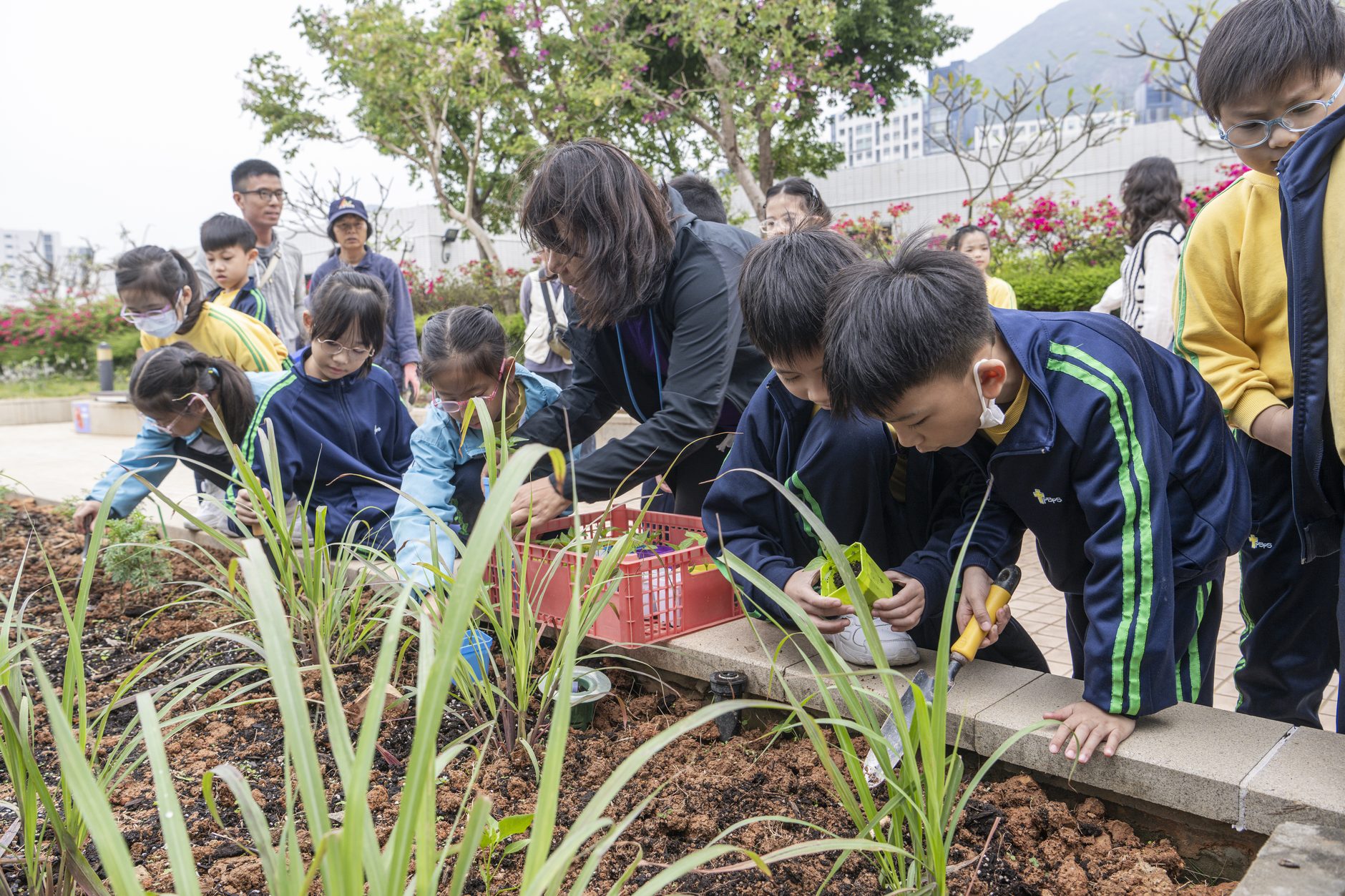 Primary school pupils planting seedlings in a raised garden bed with facilitators during a CityUHK outreach activity