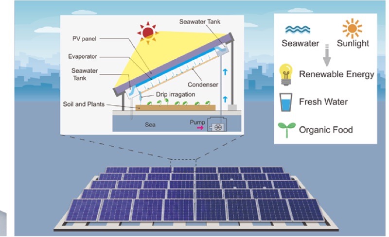 Diagram of the award-winning sustainable offshore floating energy–water–food platform