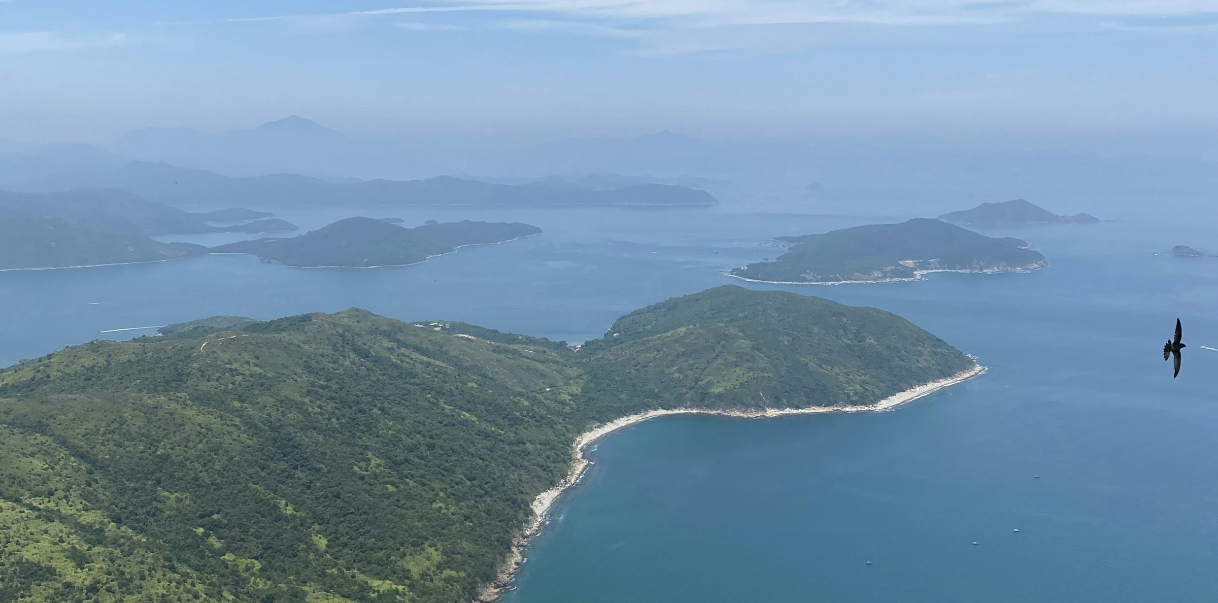 Aerial view of a turquoise cove and green headland from Sharp Peak, Sai Kung, Hong Kong