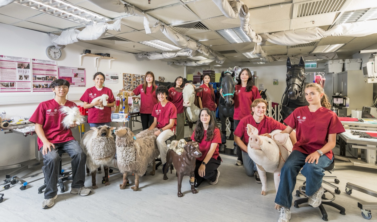 Bachelor of Veterinary Medicine students with veterinary training simulators — sheep, cow, pig, dog and horse models — in a Jockey Club College of Veterinary Medicine and Life Sciences skills lab