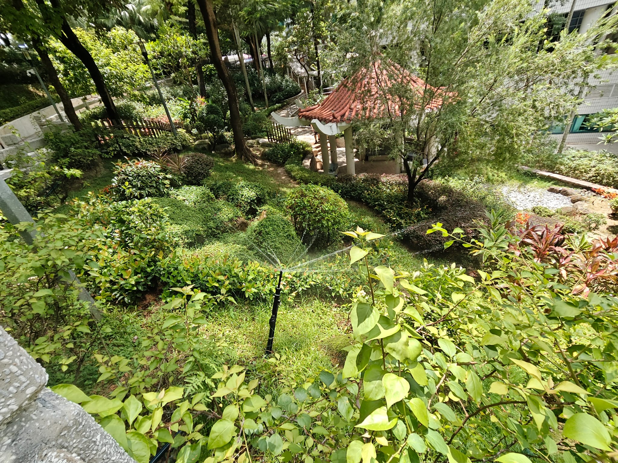 vegetation