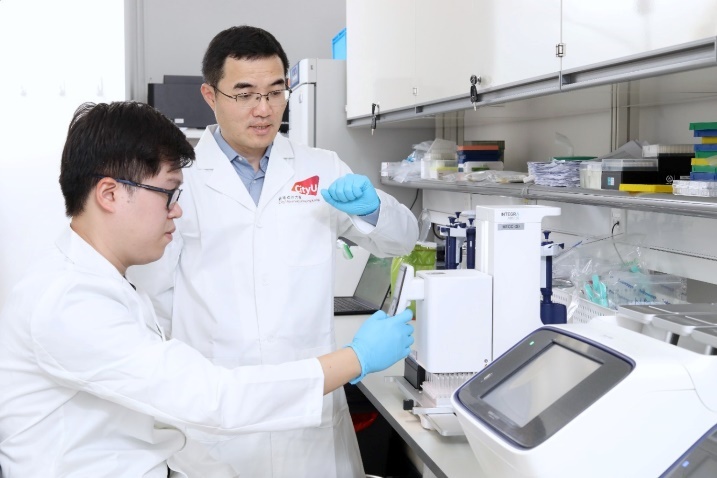 Pioneering DNA Surgery: A One-Time Curative Therapy Advancing to Clinical Trials