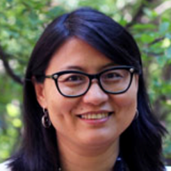 Professor dvps-prof-CT-Lim