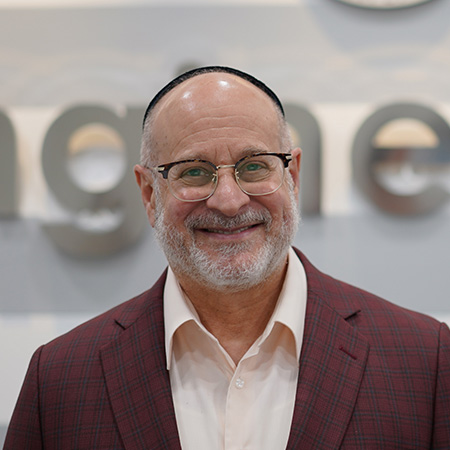 Professor David Srolovitz